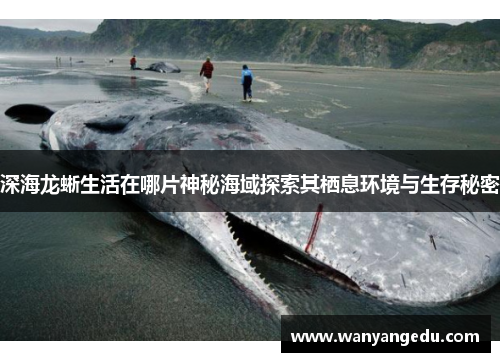 深海龙蜥生活在哪片神秘海域探索其栖息环境与生存秘密